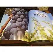 Атлас мира. Вино — книга для мужчины — красивый подарок — фотография 3